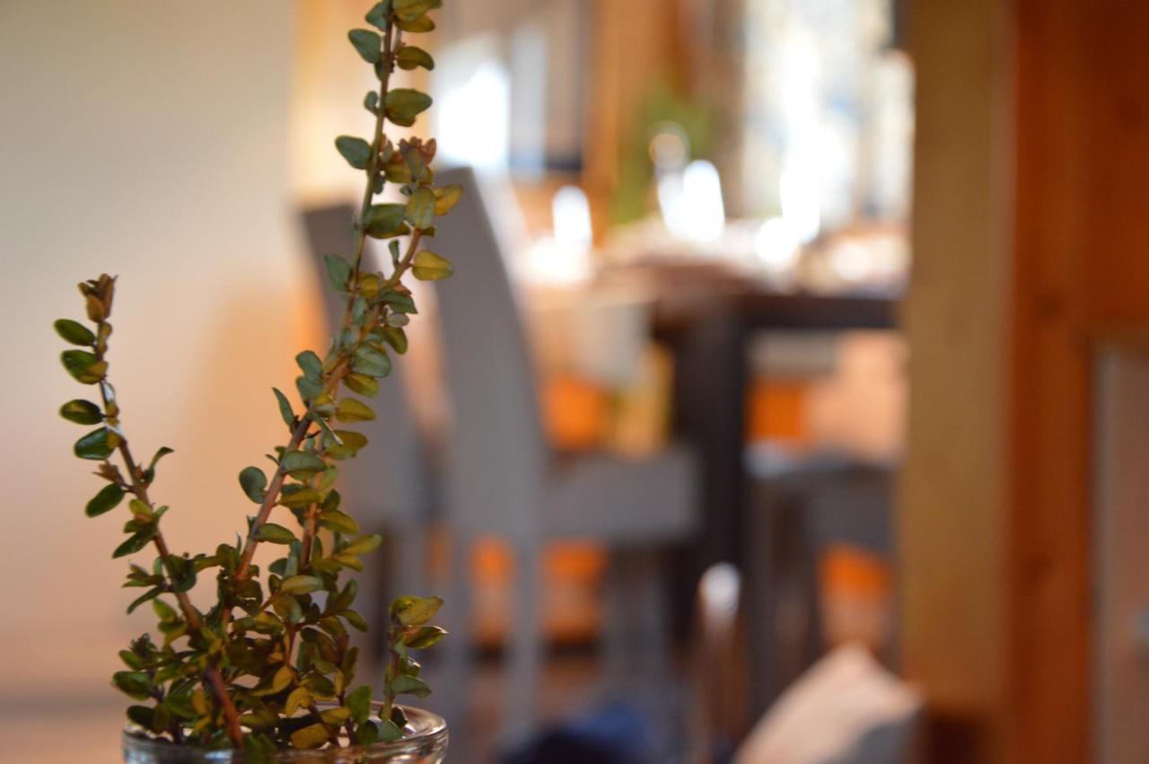 Il Nido Dei Sogni Sanzeno Apartment Екстериор снимка
